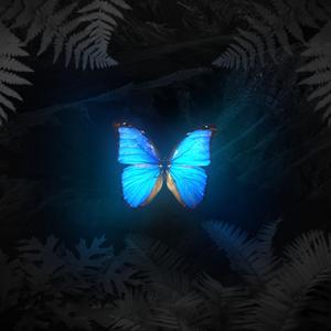 Wanderlust (feat. NutJob Lewis)