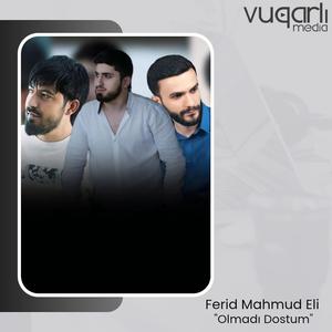 Olmadi Dostum (feat. Ferid Ehmedzade & Zaur Eli)