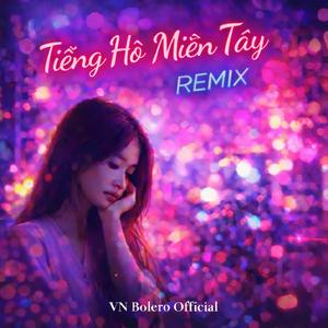 Tiếng Hò Miền Tây (Remix)