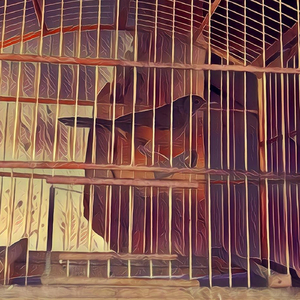 Como um Passarinho Na Gaiola