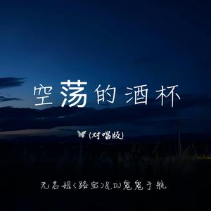 空荡的酒杯 (对唱 DJ版)