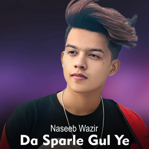 Da Sparle Gul Ye