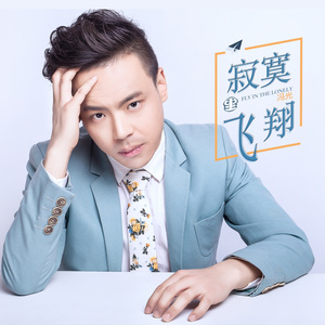 寂寞里飞翔 (伴奏)