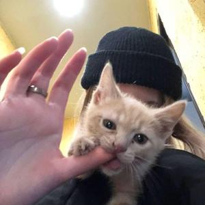 lucy~ (slowed + reverb)