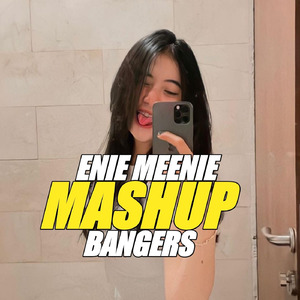 Enie Meenie Mashup + Bangers (Remix)