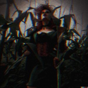 I Feel The Moonlight