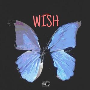 wish