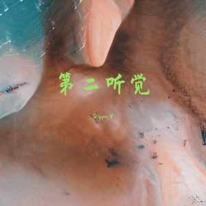 第二听觉（pord.by 房间里的大象）