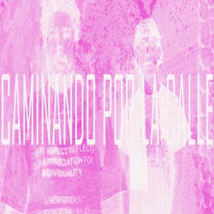 CAMINANDO POR LA CALLE