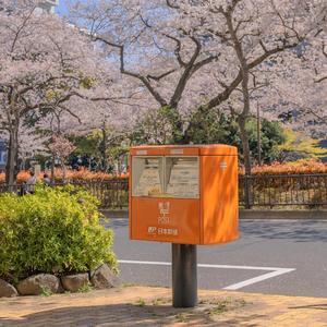 他走了带不走你的天堂