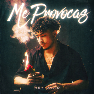 Me Provocas