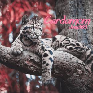 Cardamom