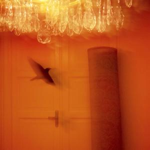 Nicht einfacher allein