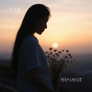 那年冬天那场雪