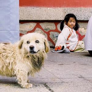 大风吹-草东没有派对（伴奏）