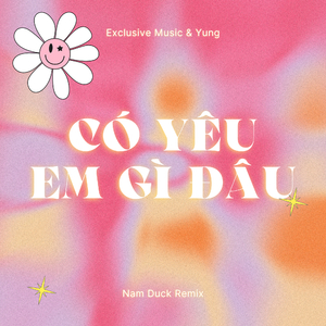 Có Yêu Em Gì Đâu (Nam Duck Remix)