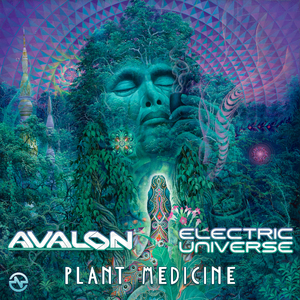 Plant Medicine
