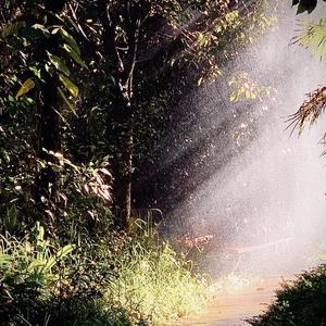 无感今日 一如往常