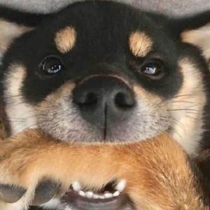 呵呵呵啦啦啦_KMNz的创作-幻想9