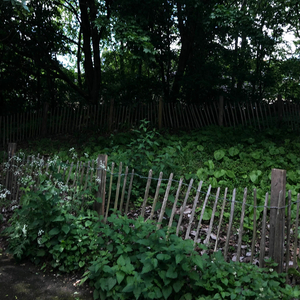 gravesite