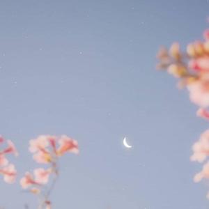 无题（翻自 姜云升）