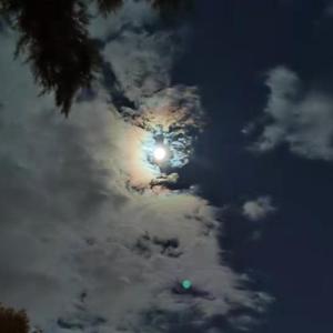 该 歌 曲 已 下 架