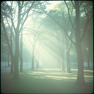 青い季節のままで