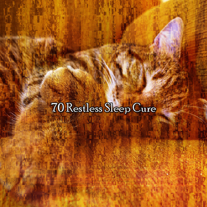 当你睡觉的时候