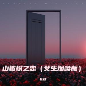 山楂树之恋（女生烟嗓版）