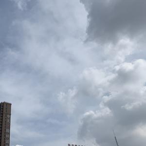 下雪的哈尔滨（吉他弹唱）