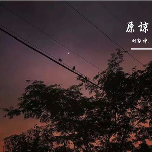 原谅（完整）
