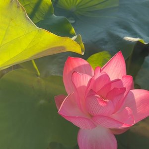 recording_20250810-051124_1