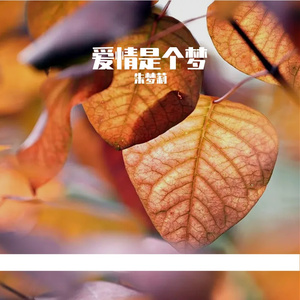 爱上你的理由 伴奏