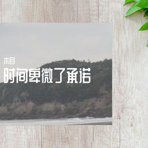 时间卑微了承诺