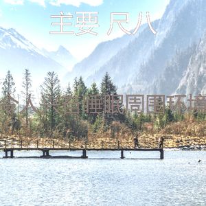 抚慰的睡眠回忆