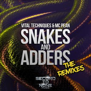 Snakes and Adders (Bailey P Remix)