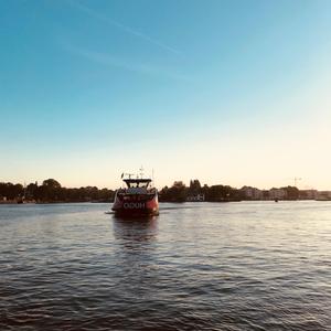 真相是真（翻自 阿鸣）