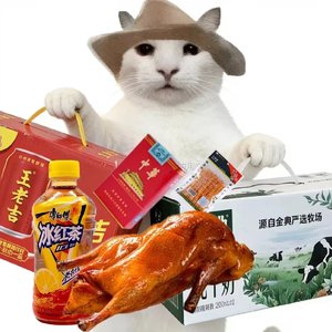 金马踏春喜过年