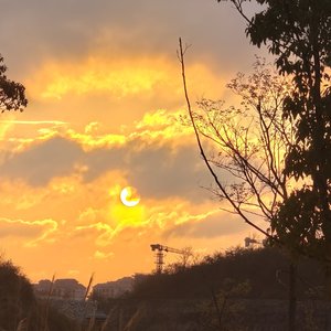 "霓虹狂欢夜"