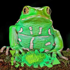 The Integumentary Bioactive