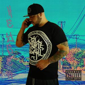 Solo Gordos Siempre Grises