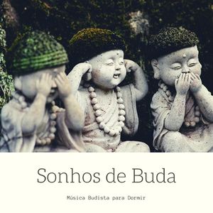 Ensinamentos Budistas