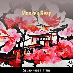 Diplomatic Caterpillar Collony