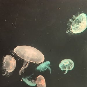 来不及爱你 季节已更替