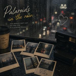 Palaroids in the rain