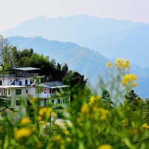 姑娘别哭泣 柯柯柯啊