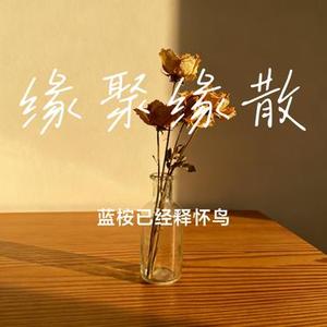 缘聚缘散