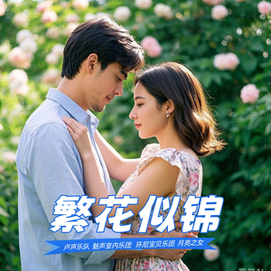 繁花似锦（DISCO版）