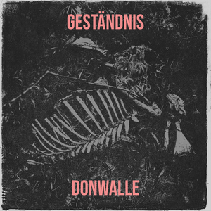 Geständnis