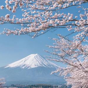 运动员进行曲（小调版）